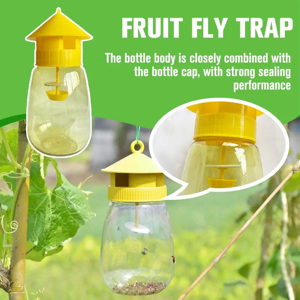 Fruit Fly Trap