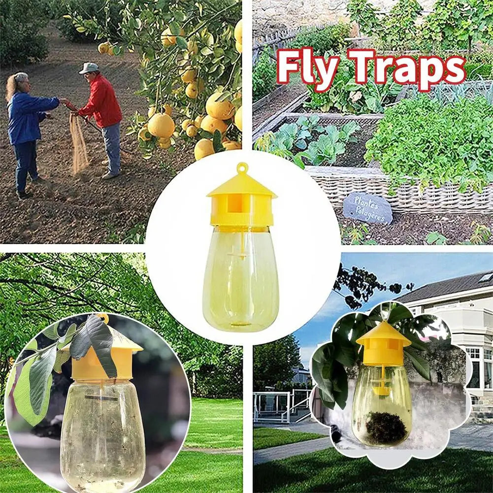 Fruit Fly Trap